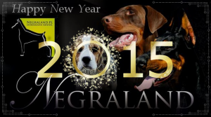 hapy-new-year.negraland